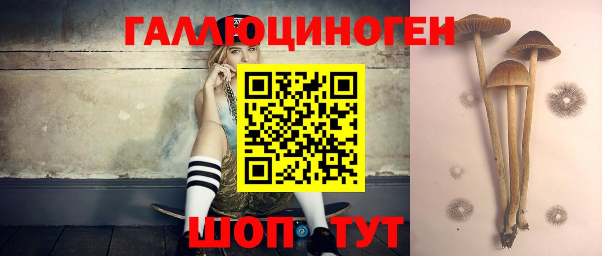 Псилоцибиновые грибы мицелий  Вход с VPN  Орехово-Зуево 